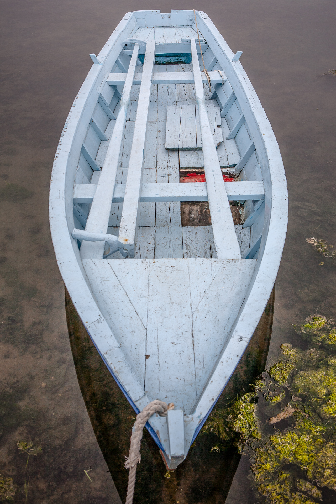 Boat of the Day